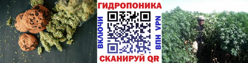 купить   Болгар  shop какой сайт  Cannafood марихуана 