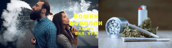 ПСИЛОЦИБИНОВЫЕ ГРИБЫ Алексеевка