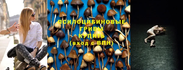 ПСИЛОЦИБИНОВЫЕ ГРИБЫ Алексеевка