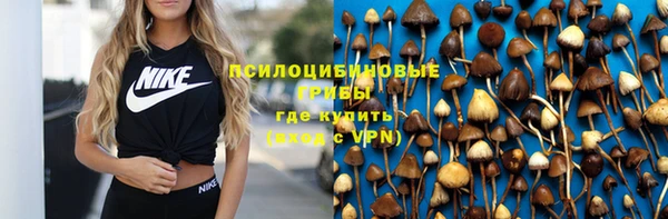 ПСИЛОЦИБИНОВЫЕ ГРИБЫ Алексеевка
