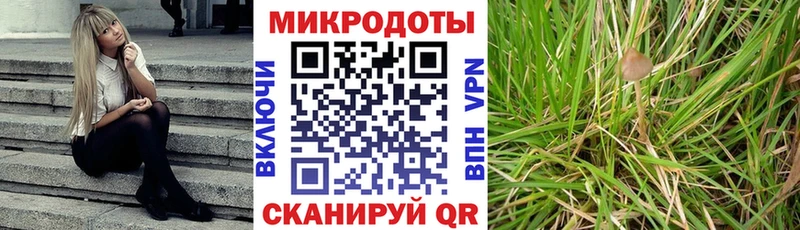 наркота  Болгар  Псилоцибиновые грибы GOLDEN TEACHER 